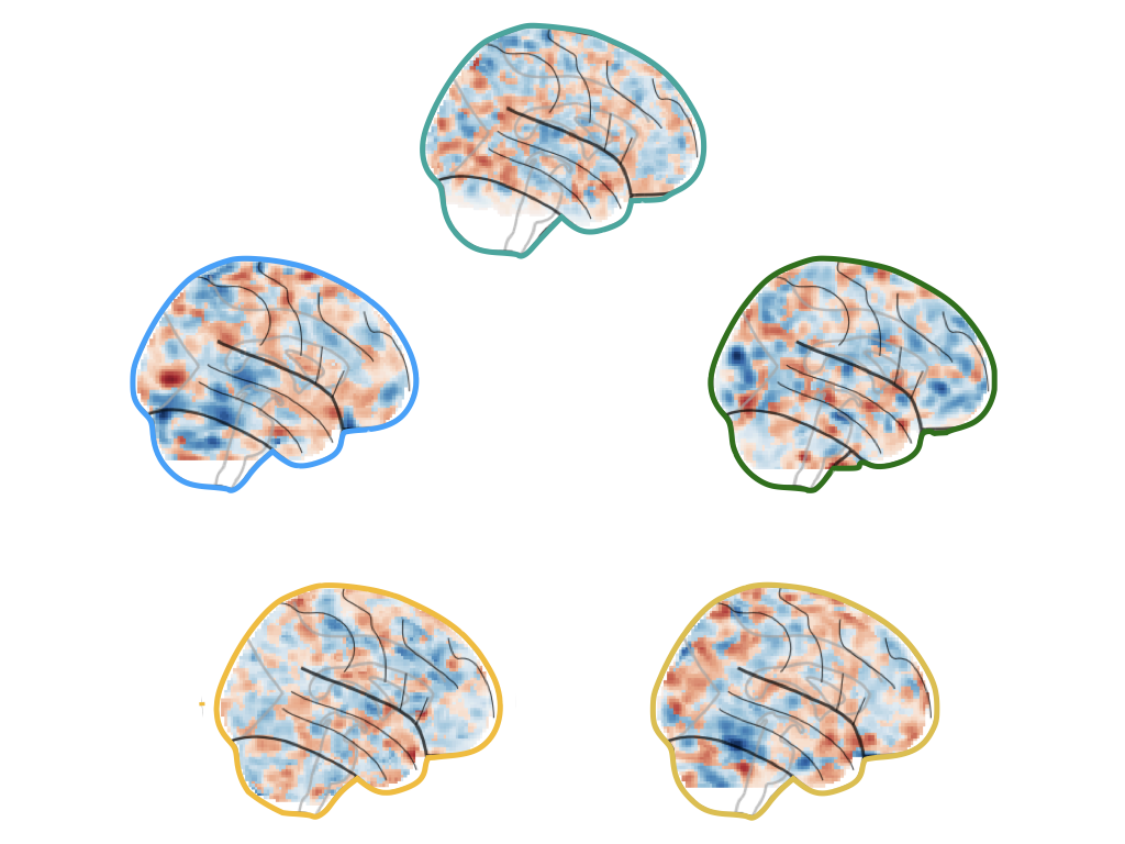 Interacting_Brain_Models